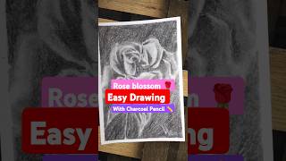 Mastering the Art of Drawing a Rose Blossom 🌹with Charcoal Pencil Made Simple drawingtutorials [upl. by So969]