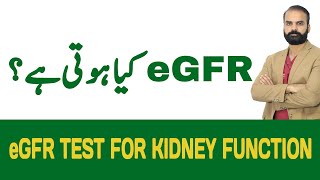 eGFR Test for Kidney Function  Kidney Function Tests [upl. by Harli]