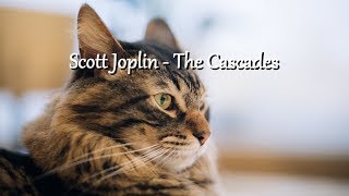 Scott Joplin  The Cascades [upl. by Agarhs]