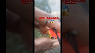 ഇത് കൊള്ളാം 🎣🎣🎣 Bravo 🎣🎣😱😱😱😱 village fishing videosfishing videos shorts [upl. by Yhtir]