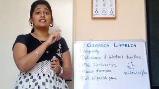 Giardia Lamblia morphology Life cycle in hindi Pathogenesis in hindi Lab diagnosis [upl. by Atinniuq]