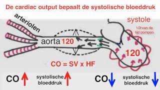 Bloeddruk [upl. by Hpesoy]