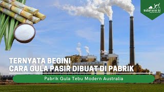 PABRIK GULA MODERN Menggiling Tebu dan Mengubahnya Jadi Gula Pasir [upl. by Jeane]