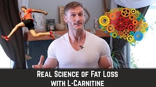 LCarnitine  How to Mobilize Fat amp Enhance Brain Health  Thomas DeLauer [upl. by Amisoc345]