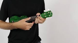 Ohana O’Nina Willow Sopranissimo Ukulele Green  The Ukebug [upl. by Busby]