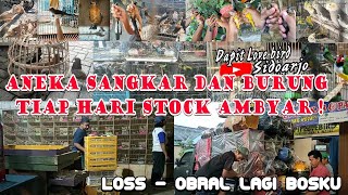 Pasar Burung Sidoarjo Kembali Gelar Obral Aneka Burung Besar Besaran  Lokal dan Import Masuk [upl. by Ailyn]