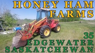 Selling the Honey and Feeding Pigs on Honey Ham Farms 35  Year 2  FS22  Farming Simulator 22 [upl. by Hanni]