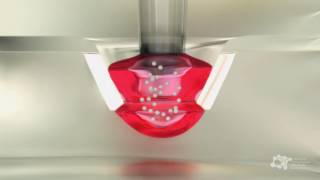 Organs Bioprinting – 1st Spheroid formation process by the Hanging Drop Method [upl. by Alroi847]