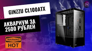 Аквариум за 2500 рублей  Обзор корпуса Ginzzu CL100ATX с озона [upl. by Stone941]