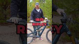 2025 Ibis Ripley V5 Review mtb shorts [upl. by Ynahpit30]