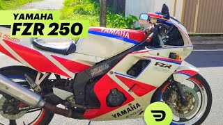 19891994 Yamaha FZR250R [upl. by Lambart]