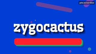 ZYGOCACTUS  HOW TO PRONOUNCE IT [upl. by Sauls]