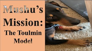 Crafting Persuasive Arguments with The Toulmin Model [upl. by Nylireg613]