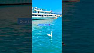 Zurich Lake Switzerland 🇨🇭Beautiful shortsfeed travel zürichsee explorezurich [upl. by Gomar]