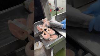 Popular salmon fish slice cutting skillsshorts [upl. by Anyotal407]