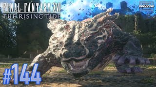 【FF16】毒地獄のサンショウウオもどき！？フレイズマルを倒せ！〜DLC第二弾 The Rising Tide《海の慟哭》〜 144【PS5】 [upl. by Eycats]