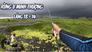 Giây phút hồi hợp khi bơi xuồng câu cá gặp phải rắn hổ mang trong rừng U Minh Thượng [upl. by Gnov]