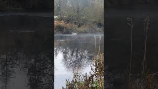 Річка Ліффі Ірландія River Liffey Ireland [upl. by Aruam273]