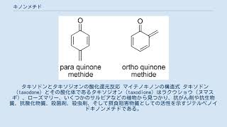 キノンメチド [upl. by Thornie]