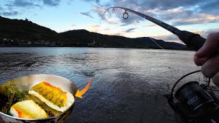 Angeln am Rhein  Über Nacht auf Wels und Zander  Catch and Cook [upl. by Haissi]