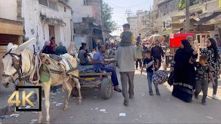 NEW VIDEO FROM GAZA 🇵🇸  14 Nov 2024  Gaza Palestine  Gaza During War  فلسطين غزة [upl. by Icram851]