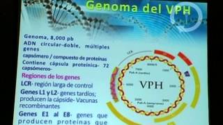 Diagnóstico del virus del Papiloma Humano por PCR [upl. by Childs]