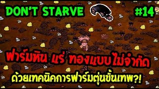 ฟาร์มหิน แร่ ทองแบบไม่จำกัดด้วยเทคนิคการฟาร์มตุ่นขั้นเทพ  Moleworm Farm Dont Starve [upl. by Shig681]