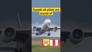 Sounds All Pilots Are Scared Of  shorts [upl. by Meredith]