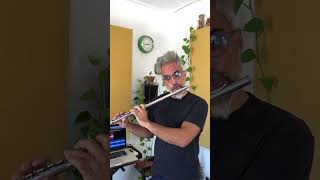 Armandos Rhumba · Chick Corea solo transcription on flute [upl. by Yrtsed]