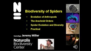 Biodiversity of Spiders Evolution of Arthropods [upl. by Viking708]