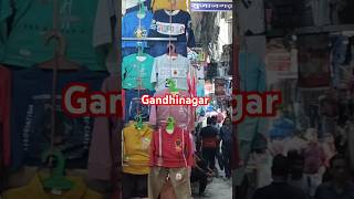 Delhi Gandhinagar wholesale market [upl. by Eanore]