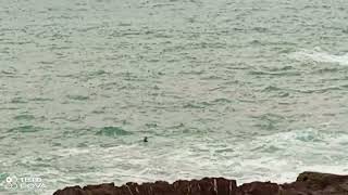 Baignade risquée sur les côtes de la corniche de Rabat [upl. by Ennire]