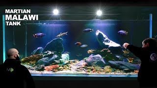 Martian Malawi Cichlid Aquarium aquascape tutorial [upl. by Niltiac688]