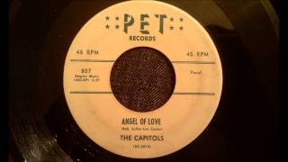 Capitols  Angel Of Love  Rarest Of The Rare Doo Wop Ballad [upl. by Neyr]