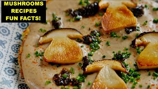 13 Delicious Mushroom Recipes 🍄 Fascinating Facts amp Types You Didn’t Know [upl. by Kela]