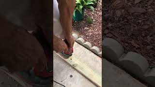 Harbor Freight Hammer Drill [upl. by Bordiuk44]