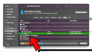 How To Access All iPhone files from PC [upl. by Lonee25]