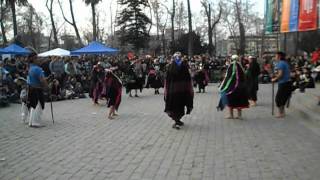 Danza Mapuche RAYEN MAPU 2012 [upl. by Astra]