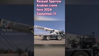 Rezayat Sparrow Arabian crane here September 11 2024 [upl. by Frodine311]