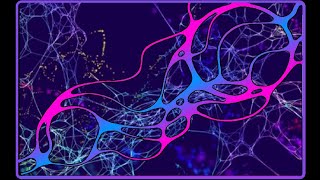 Neuroplasticity and Neurographic Art Therapy [upl. by Adekram]