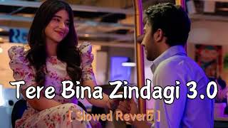 Tere Bina Zindagi 30 Slowed Reverb Song  Love mashup song  MUSIC ADDA  new release song [upl. by Neiviv]