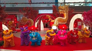 7 Lion Dance with Acrobatic Lion Dance [upl. by Hermie798]