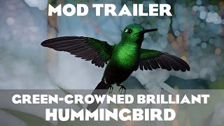 Planet Zoo GreenCrowned Brilliant Hummingbird Trailer [upl. by Aicined360]