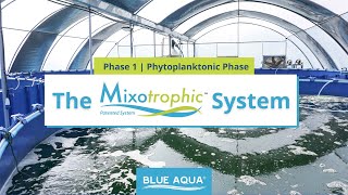 Mixotrophic™ System Phase 1  Managing Phytoplankton [upl. by Nolyag]