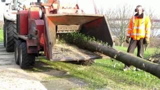 Bomen versnipperen op het Noordereiland met Morbark 2400XL [upl. by Nimrak]