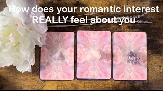 ❤️✨How does your romantic interest TRULY feel about you ❤️✨ pick a card reading 💋✨ [upl. by Eisak658]