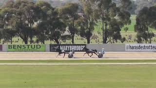 Maryborough T6 11824 [upl. by Goff]