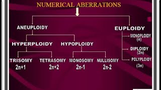 Translocation and Numerical Chromosomal aberrations [upl. by Bard751]