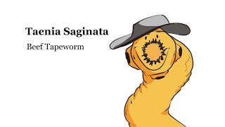 Beef Tapeworm  Taenia Saginata [upl. by Catrina444]