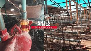 Mantenimiento y reparación de galpones para gallinas de postura para la producción de huevos [upl. by Ellan]